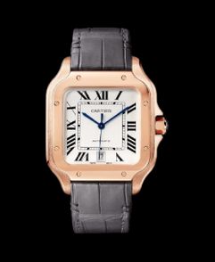 Cartier Santos 100