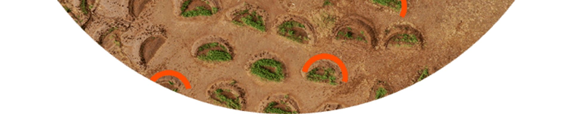 justdiggit banner