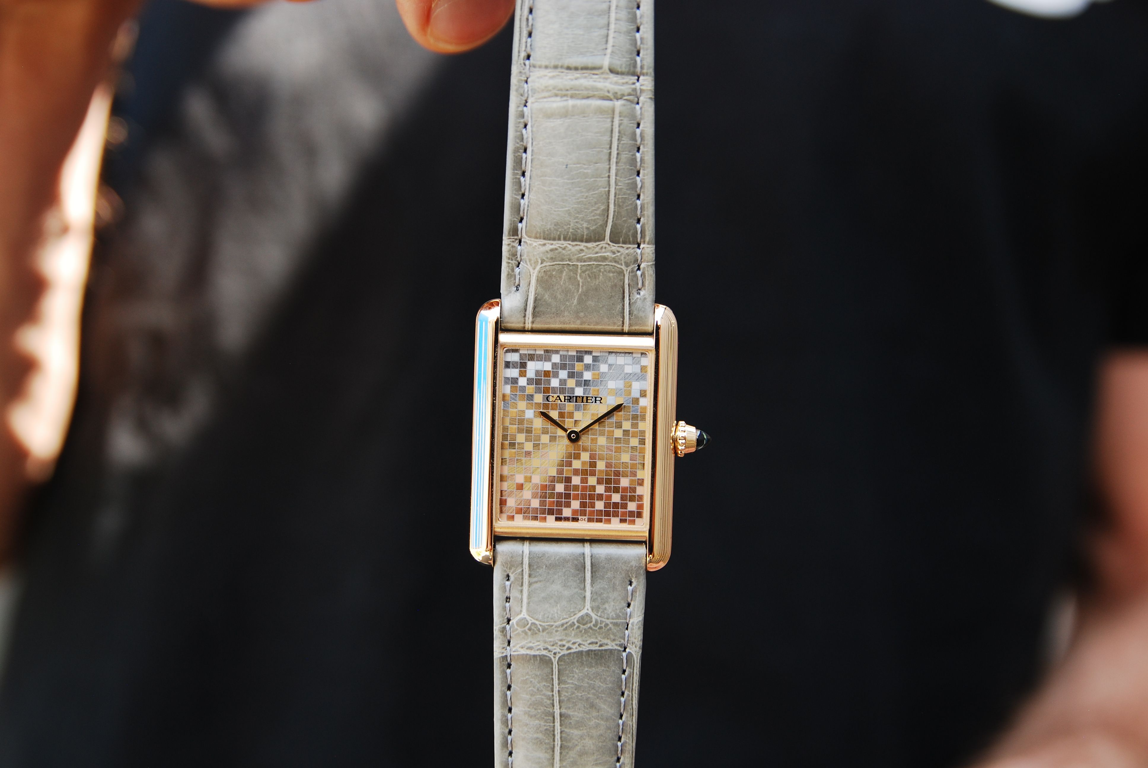 Cartier 限定 University Moleskin Fragment