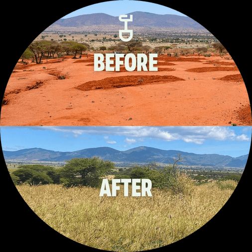 justdiggit before after