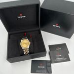 Tudor Unknown 79673 - (2/10)