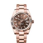 Rolex Sky-Dweller 336935 (2024) - Bruin wijzerplaat 42mm Roségoud (1/8)