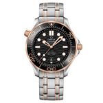 Omega Seamaster Diver 300 M 210.20.42.20.01.001 - (1/1)