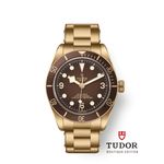 Tudor Black Bay Bronze 79012M (2025) - Brown dial 39 mm Bronze case (1/1)