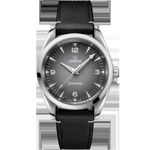 Omega Seamaster Railmaster 235.10.38.20.06.001 - (1/1)