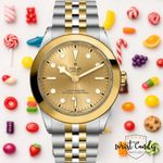 Tudor Black Bay S&G 79663 - (1/8)
