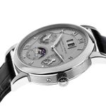 A. Lange & Söhne Langematik Perpetual 310.025 (Unknown (random serial)) - Silver dial 39 mm Platinum case (7/8)