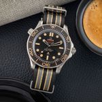 Omega Seamaster Diver 300 M 210.92.42.20.01.001 (Unknown (random serial)) - Brown dial 42 mm Titanium case (1/8)