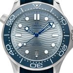 Omega Seamaster Diver 300 M 210.32.42.20.06.001 (2025) - Grey dial 42 mm Steel case (1/7)