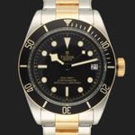 Tudor Black Bay S&G 79733N - (3/8)