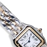 Cartier Panthère Unknown - (3/8)