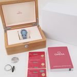 Omega Seamaster Aqua Terra 220.12.41.21.03.008 - (8/8)