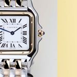 Cartier Panthère W2PN0019 - (5/8)