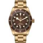 Tudor Black Bay Bronze 79012M (2026) - Brown dial 39 mm Bronze case (1/1)