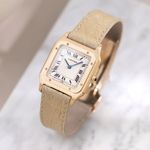 Cartier Santos Dumont W2SA0025 - (1/8)