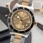 Tudor Black Bay S&G 79733N - (1/8)