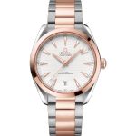 Omega Seamaster Aqua Terra 220.20.41.21.02.001 - (1/1)