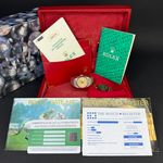 Rolex Lady-Datejust 69179 (1988) - Champagne dial 26 mm White Gold case (3/8)