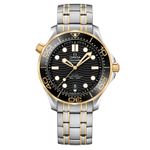 Omega Seamaster Diver 300 M 210.20.42.20.01.002 (2024) - Zwart wijzerplaat 42mm Goud/Staal (1/1)