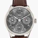 IWC Portuguese Perpetual Calendar IW502218 (2008) - Grijs wijzerplaat 42mm Witgoud (1/1)