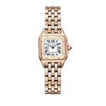 Cartier Panthère WGPN0060 - (1/8)
