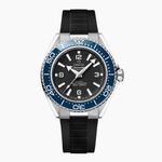 Omega Seamaster Planet Ocean 217.32.42.21.01.002 - (1/1)
