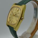 Omega Genève 166.019 (Onbekend (willekeurig serienummer)) - Zilver wijzerplaat 36mm Staal (13/16)