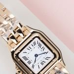 Cartier Panthère WGPN0059 - (3/8)