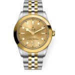 Tudor Black Bay S&G 79663 - (1/1)