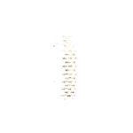 Rolex Datejust 36 116233 - (4/6)