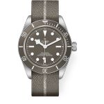 Tudor Black Bay Fifty-Eight 79010SG (2026) - Grey dial 39 mm Silver case (1/1)