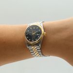 Rolex Datejust 36 16013 - (8/8)