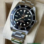 Tudor Black Bay 54 79000N - (3/7)