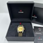 Tudor Black Bay S&G 79733N-0006 (2023) - Champagne wijzerplaat 41mm Staal (3/8)