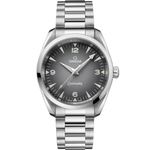 Omega Seamaster Railmaster 235.10.38.20.06.001 - (1/1)