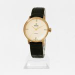 Rado Coupole R22865765 (2024) - Geel wijzerplaat 31mm Staal (1/1)