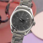 Omega Seamaster Aqua Terra 231.10.30.61.06.001 (Unknown (random serial)) - Grey dial 30 mm Steel case (1/8)