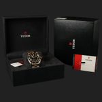 Tudor Black Bay S&G 79733N - (8/8)