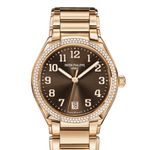 Patek Philippe Twenty~4 7300/1200R-001 (2025) - Brown dial 36 mm Rose Gold case (1/1)