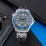 Omega Seamaster Diver 300 M 210.30.42.20.06.001 (Unknown (random serial)) - Grey dial 42 mm Steel case (1/8)