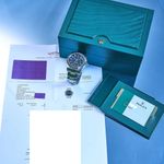 Rolex Sky-Dweller 326934 - (6/6)