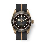 Tudor Black Bay Bronze 79250BA (2025) - Grey dial 43 mm Bronze case (1/1)