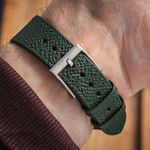 Unknown Unknown Avocado (2025) - (7/8)