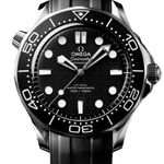 Omega Seamaster Diver 300 M 210.32.42.20.01.003 (2025) - Black dial 42 mm Steel case (1/1)