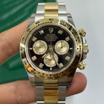 Rolex Daytona 126503 - (6/10)