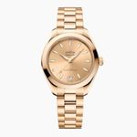 Omega Seamaster Aqua Terra 220.50.30.20.08.001 - (1/1)