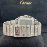 Cartier Santos 100 WSSA0006 - (3/6)