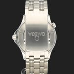 Omega Seamaster Diver 300 M 212.30.41.20.03.001 - (6/8)