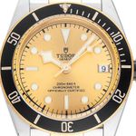 Tudor Black Bay S&G 79733N (2019) - Champagne dial 41 mm Steel case (1/7)
