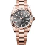 Rolex Sky-Dweller 336935 (2025) - Grey dial 42 mm Rose Gold case (1/1)
